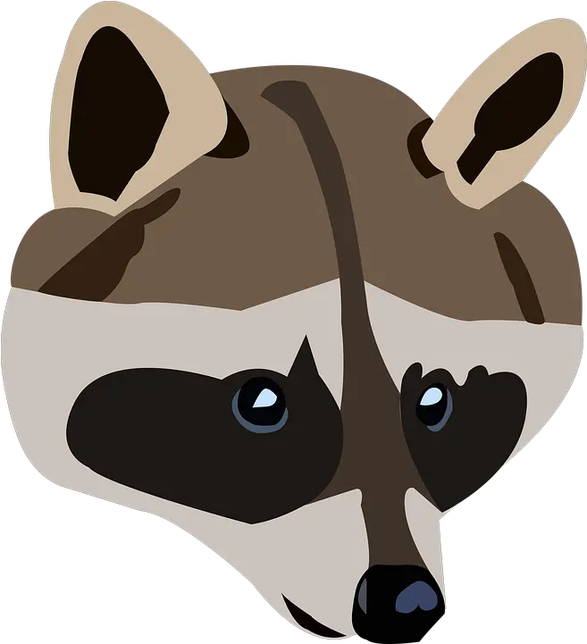 Raccoon Animal Wild Free Image On Pixabay Raccoon Png Raccoon Png