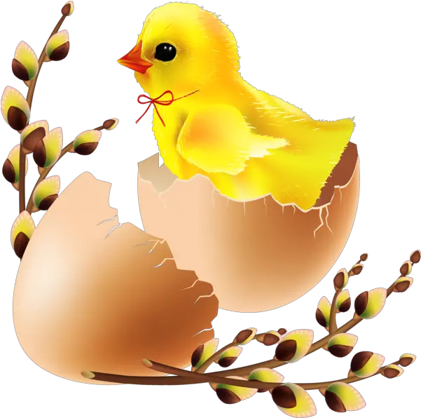 Easter Egg Water Bird For 4032x4000 Easter Transparent Birds Png Easter Egg Transparent