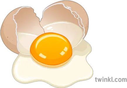 Raw Egg Cracked Illustration Twinkl Clip Art Png Cracked Egg Png