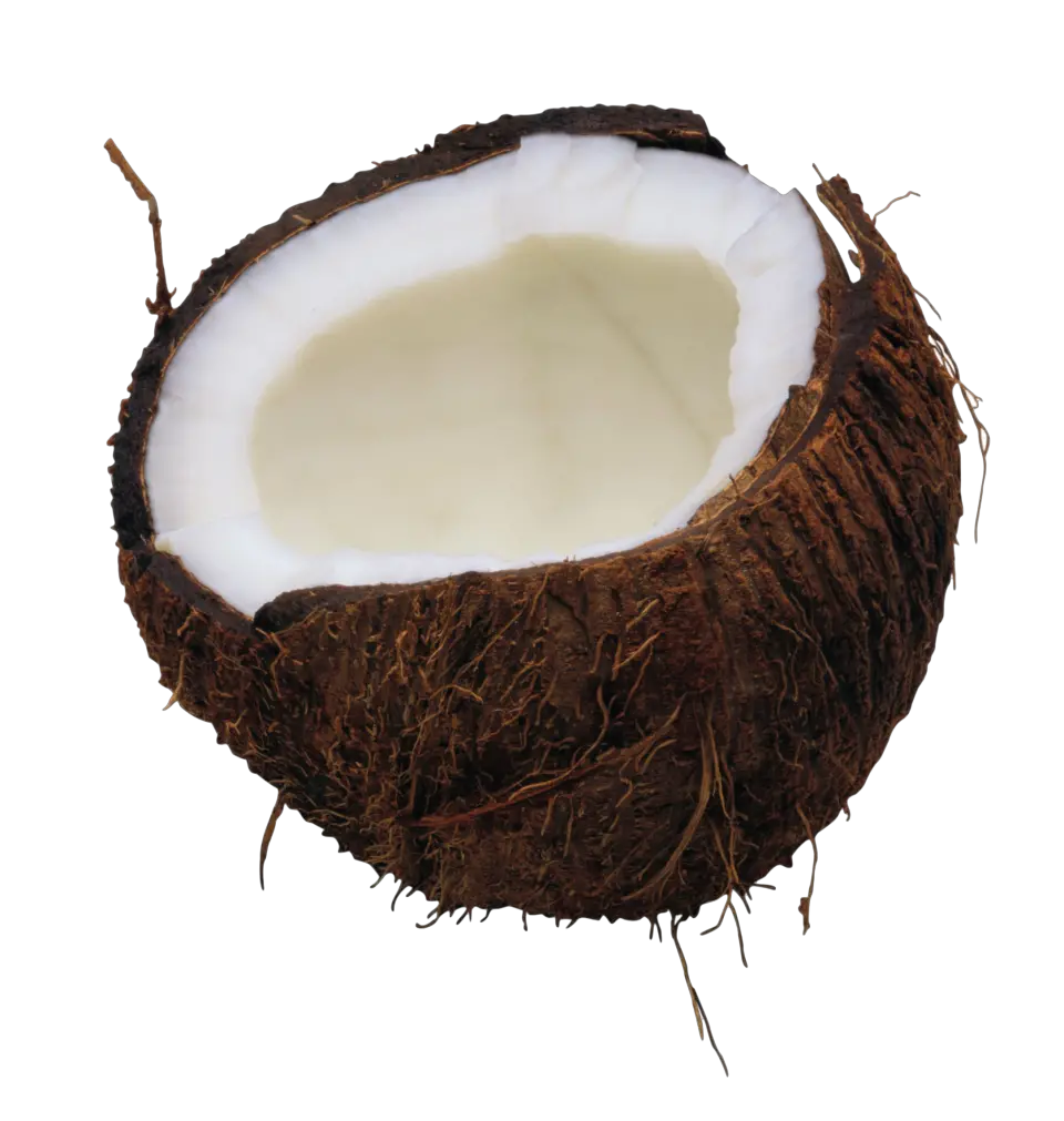 Coconut Png Image Clipart Transparent Background Coconut Coconut Png