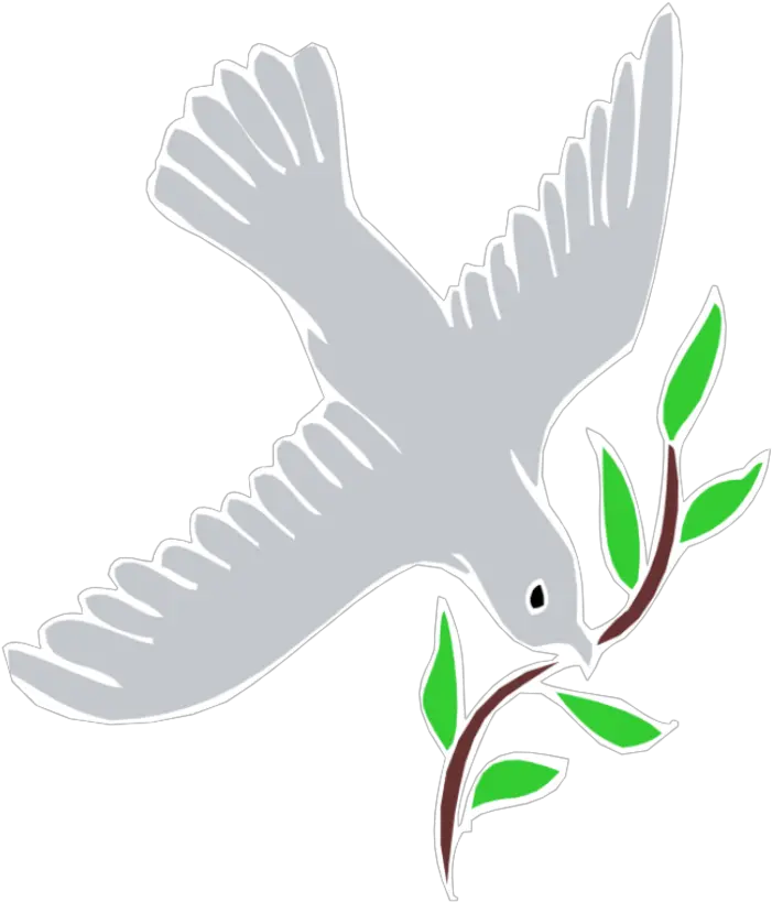 Holy Spirit Png We Believe That The Holy Spirit Is A Falconiformes Spirit Png