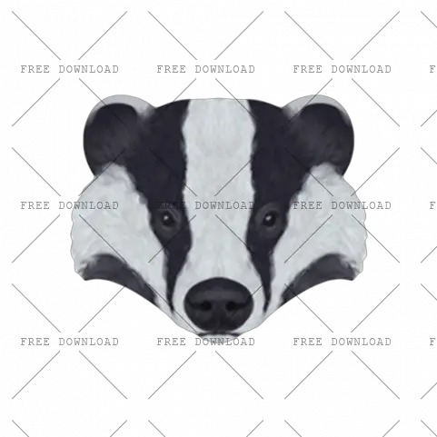 Badger Png Image With Transparent Background Photo 132 Cow Transparent Background