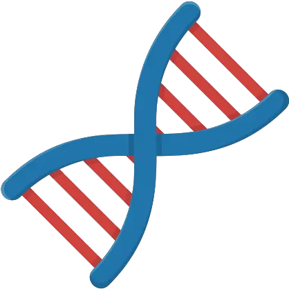 Dna Png Images Free Download Genetics Vector Dna Png