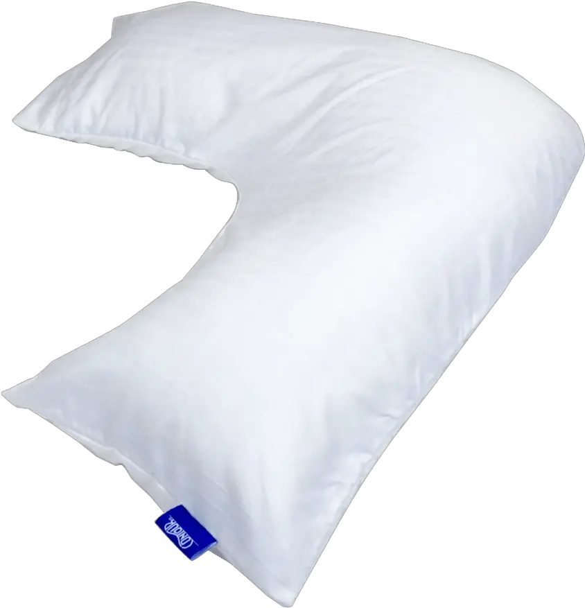 Download Protect Your Contour L Body Furniture Style Png Body Pillow Png
