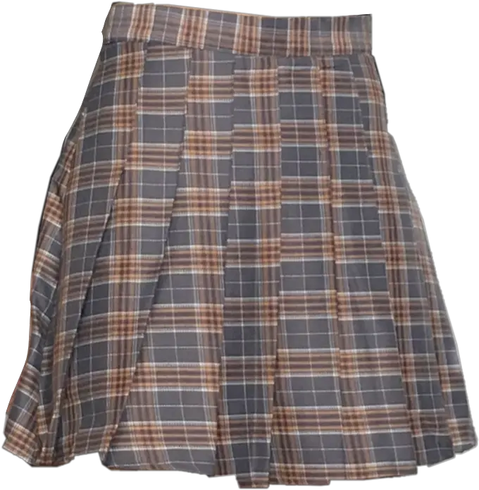 Skirt Vintage Retro Plaid Clothes Png Plaid Skirt Png Polyvore Skirt Png