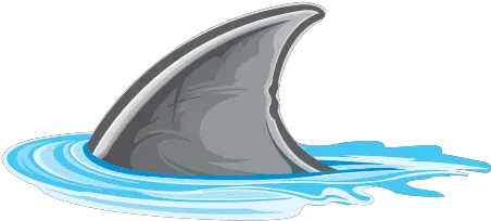 Shark Fin Png 6 Image Cartoon Shark Fin Png Fin Png