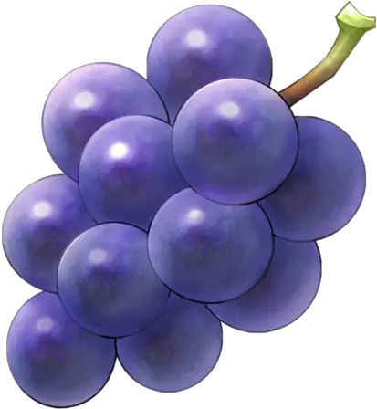 Download Purple Grapes Png Purple Grape Png Grapes Png