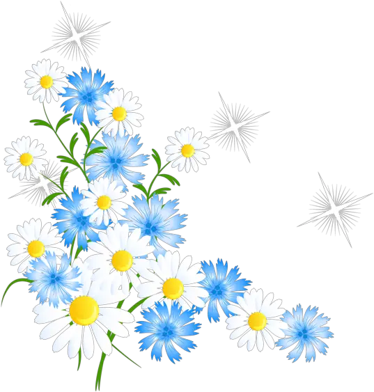 Daisy Png Flower Corner Clip Art Daisy Png