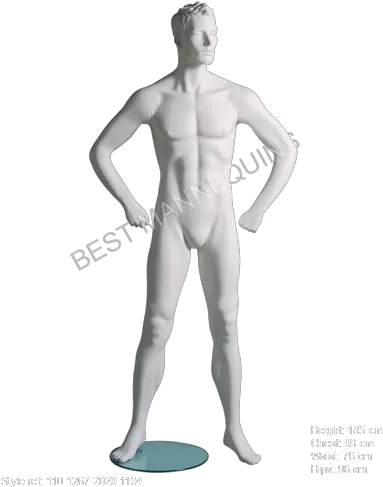 Pdf Catalogue Transparent Male Mannequin Png Mannequin Png