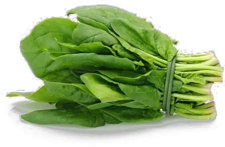 Spinach Png Bunch Spinach Spinach Png