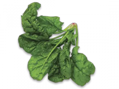 Spinach Top View Png Veg Leaf Spinach Png