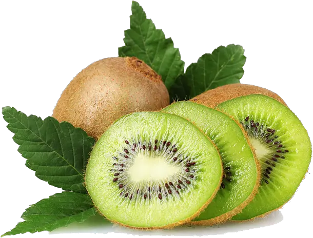 Kiwi Transparent Kiwi Png Kiwi Transparent