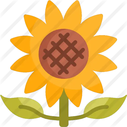Sunflower Free Nature Icons Ilustrasi Bunga Png Sunflower Transparent Background