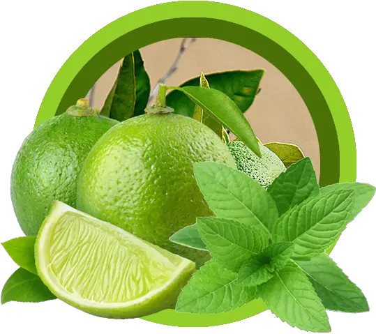 Lemon And Mint Png 2 Image Fresh Lime Mint Png