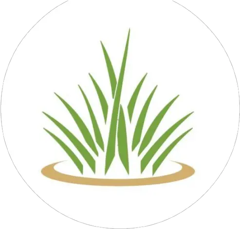 Cropped Hlogopngpng Halo Lawn Care Circle Lawn Png