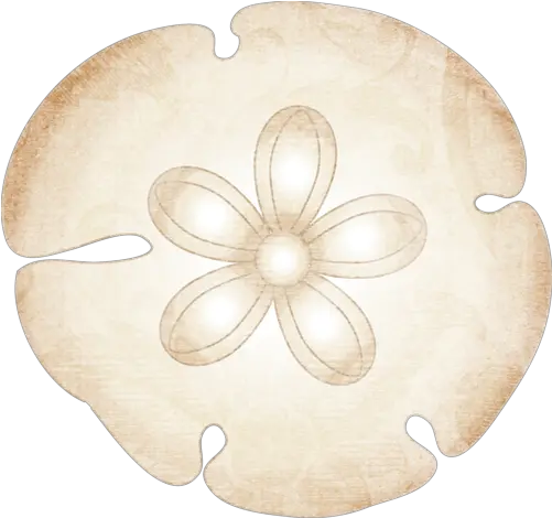 Jpg Transparent Sanddollar Png Paper Sand Dollars Clip Art Sand Dollar Png