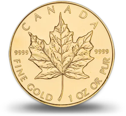 Download Hd Canadian Gold Maple Canadian Gold Maple Leaf Png Canadian Leaf Png