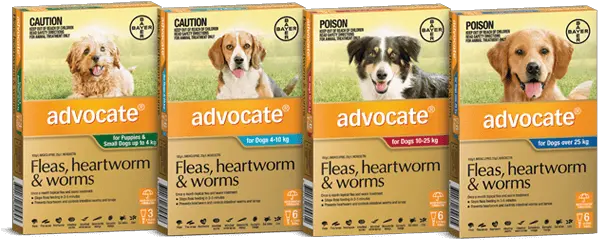 Advocate For Dogs Flea Heartworm U0026 Worm Treatment Advocate Spot On For Dogs Png Dogs Transparent