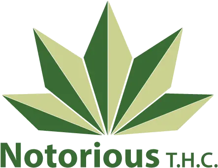 Logo Design For Notorious T Illustration Png Cannabis Logo