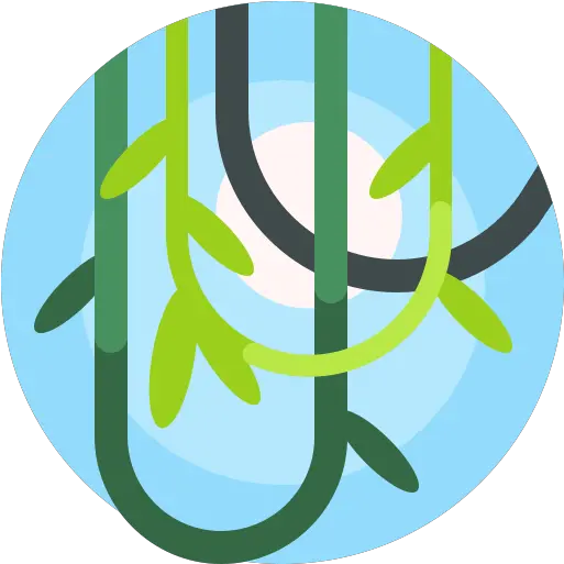 Vines Free Nature Icons Png Vines Icon