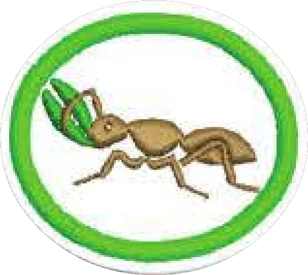 Fileantspng Pathfinder Wiki Ant Ants Png