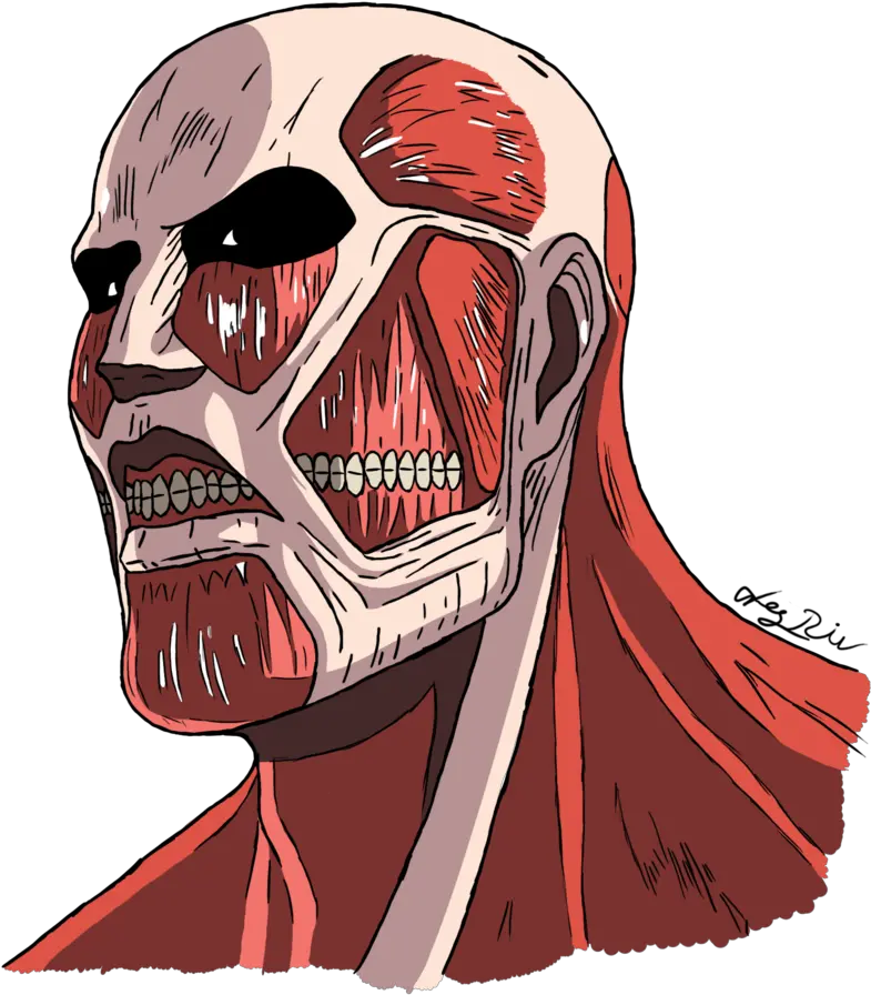 Attack Attack On Titan Colossal Titan Head Png Attack On Titan Png