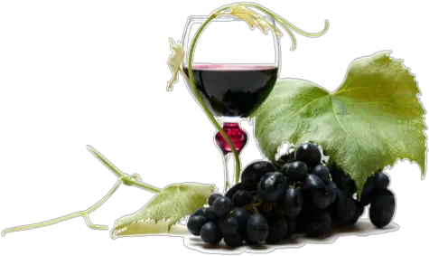 Download Wine Png Clipart Wine Png Wine Png