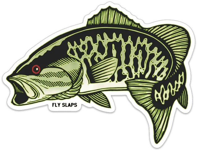 Fly Slaps Wandering Blue Lines Smallmouth Bass Sticker Smallmouth Bass Sticker Png Bass Fish Icon