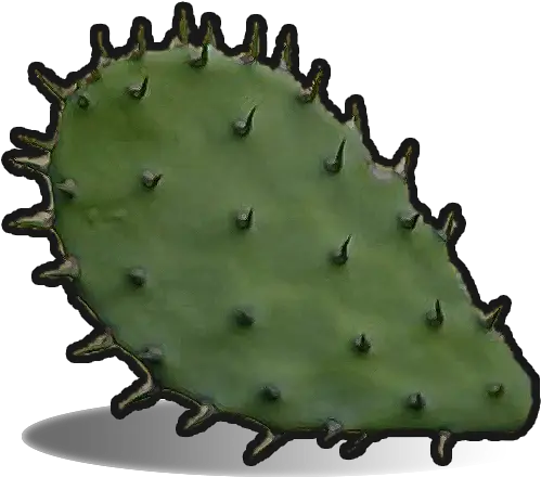 Cactus Flesh Rust Cactus Png Thorns Icon