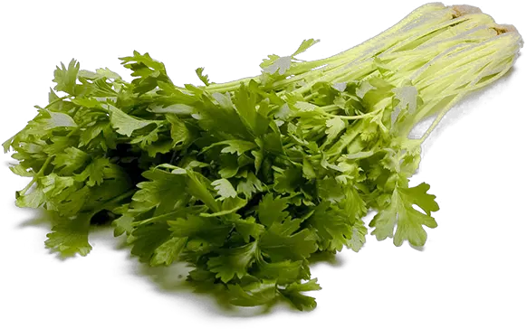 Large Stalk Celery Png Vegetable Celery Png