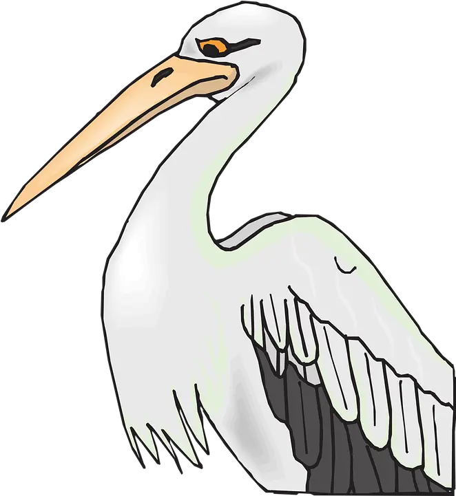 Pelican Bird Grey Free Vector Graphic On Pixabay Beak Clipart Png Pelican Png