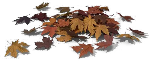 Leaves Download Transparent Png Image Arts Pile Of Leaves Png Leaves Transparent Png