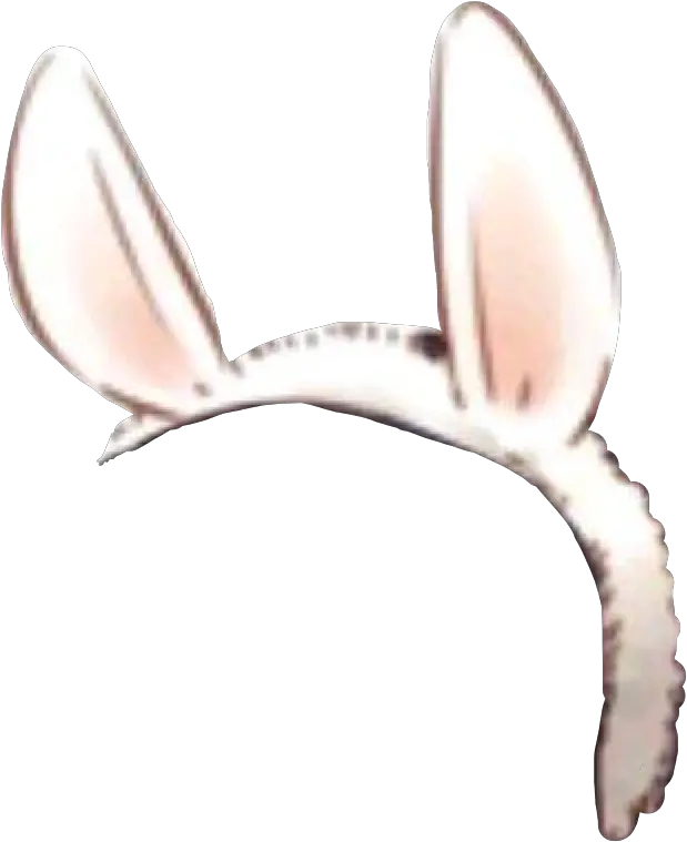 Bunnyears Ears Headband Bunny Band Macro Photography Png Bunny Ears Transparent