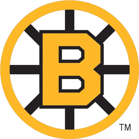 Download Shoulder Patch Boston Bruins 90s Jersey Full Moving Optical Illusions Gif Png 90s Png