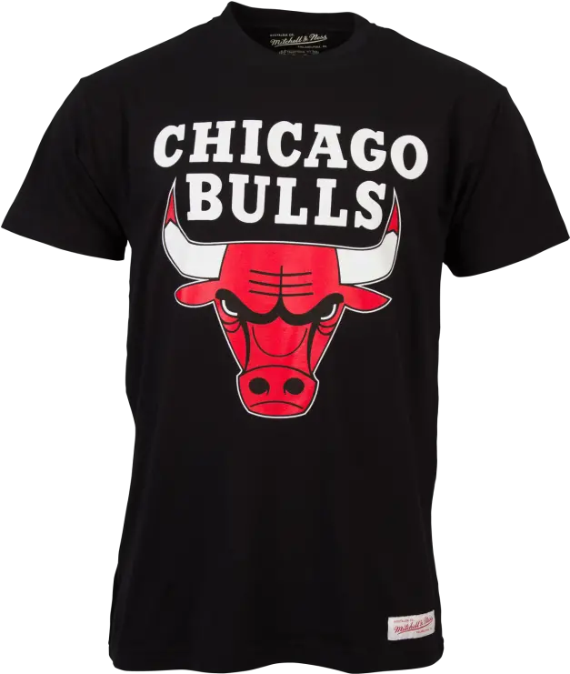 Ness Chicago Bulls Mens Team T Chicago Bulls Png Chicago Bulls Png