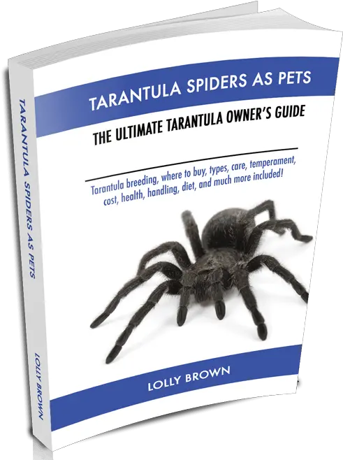 Chapters Tarantula Spiders Tarantula Spiders As Tarantula Where To And Much More The Png Tarantula Png