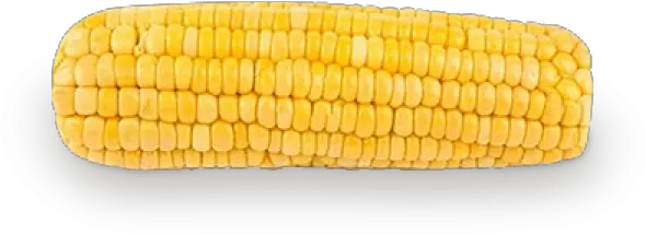 Download Corn Png Free Corn Kernels Transparent Plastic Corn Stalk Png