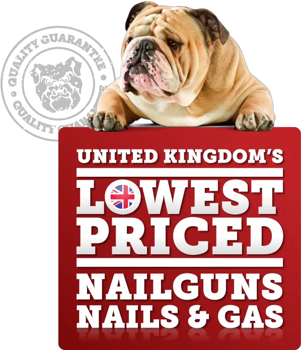 Bulldog Breed Dog Non Toy Bulldog Png Bulldog Png