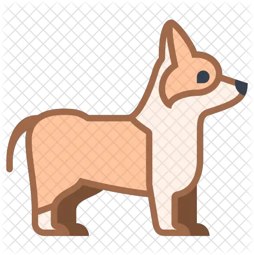 Corgi Icon Signs Of Dementia In Dogs Png Corgi Png