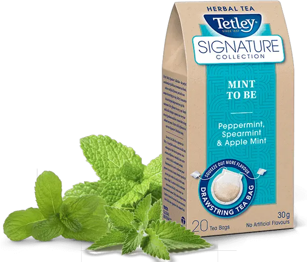 Tetley Signature Collection Mint To Be Carton Png Mint Transparent