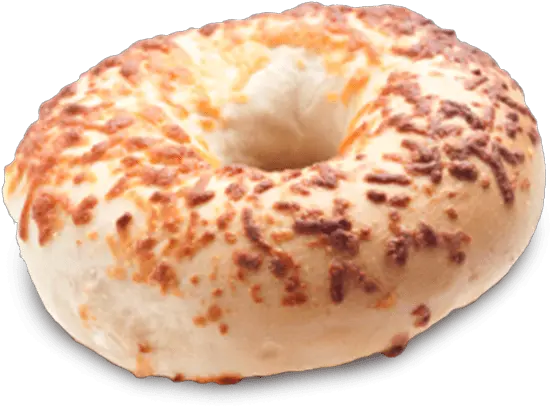 Bagel Png Free File Download Cheese Bagel Png Bagel Png