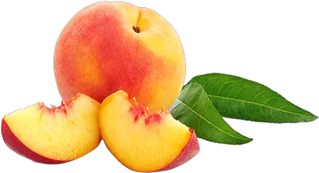 Download Free Png Peaches Peach Png Hd Peaches Png