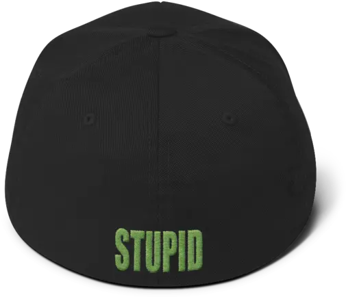 Stupid Backwords Flexfit Cap From Back Words Hats Baseball Cap Png Backwards Hat Png