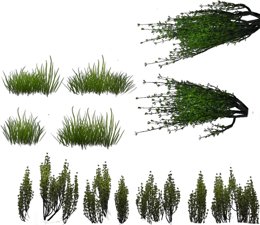Mountain Lake Vegetation Sprite Png Grass Texture Png