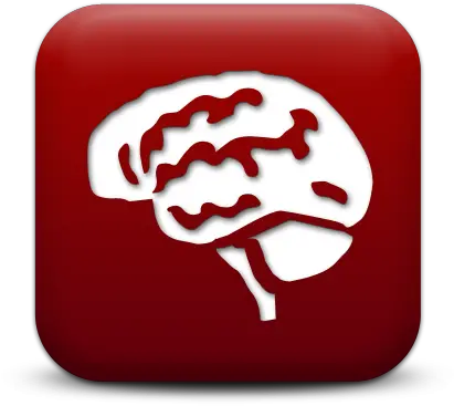 Traumatic Brain Injury And Vision Related Articles Society Brain Icon Png Brain Icon Transparent