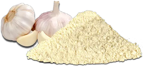 Garlic Powder Png U0026 Free Powderpng Transparent Transparent Garlic Powder Png Garlic Png