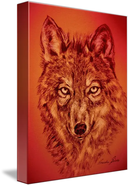 Wolf Red By Sarah Stier Czechoslovakian Wolfdog Png Wolf Face Png