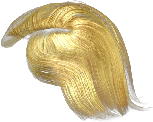 3d Character File Format Donald Trump Hair Png Donald Trump Hair Png