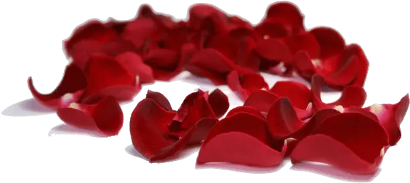 Bag Of Fresh Red Rose Petals Transparent Red Rose Petal Png Rose Petals Transparent