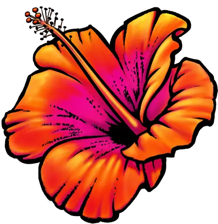 Sarah Burchard Png Hawaii Flower Icon